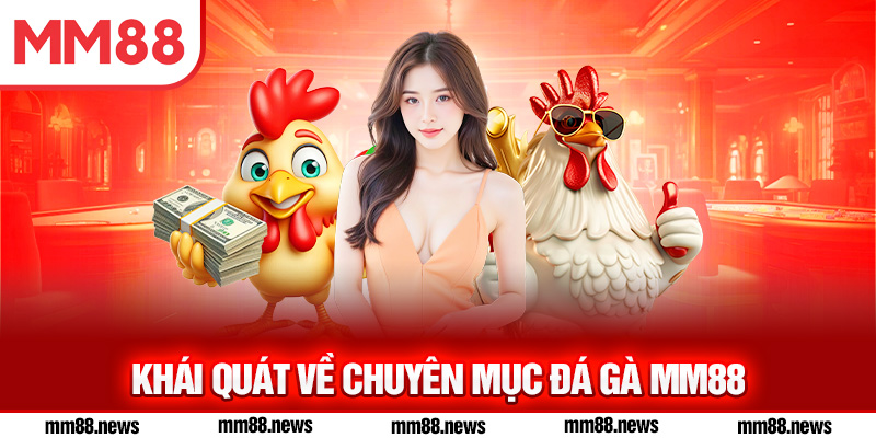 Khái quát về chuyên mục đá gà MM88