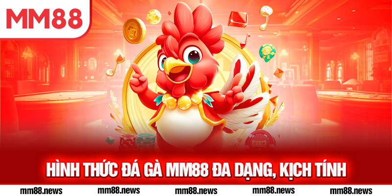 Hình thức đá gà MM88 đa dạng, kịch tính