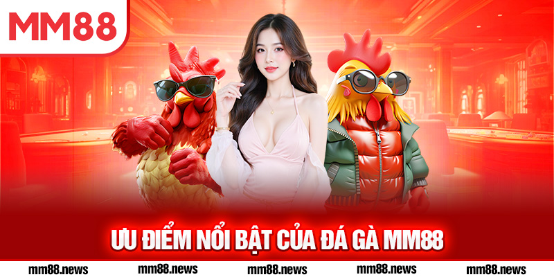 Ưu điểm nổi bật của đá gà MM88