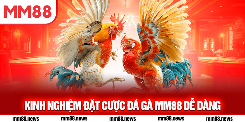 Kinh nghiệm đặt cược đá gà MM88 dễ dàng